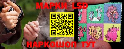 крисы Гусев