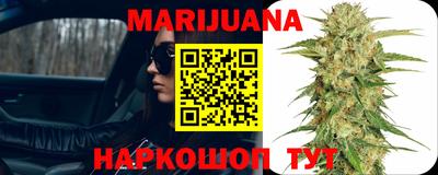 не бодяженный Гай
