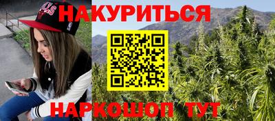 не бодяженный Гай