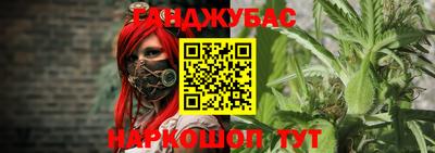 не бодяженный Гай
