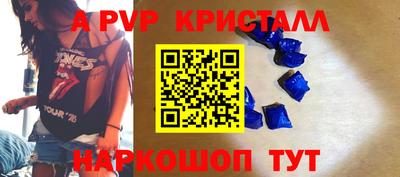 spice Гатчина