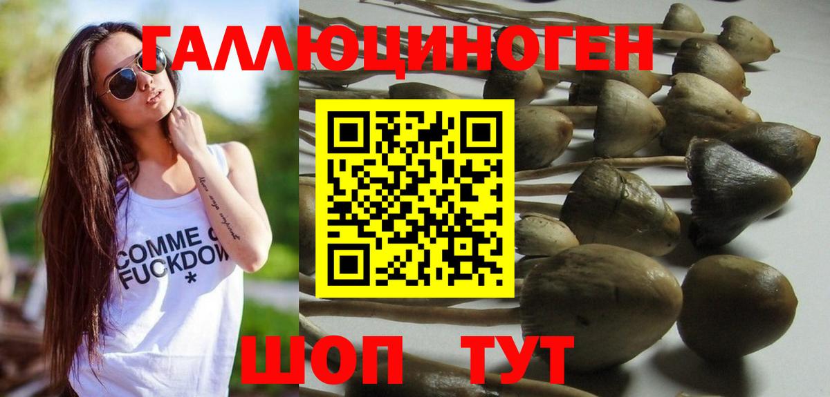 Галлюциногенные грибы GOLDEN TEACHER  Галлюциногенные грибы Psilocybine cubensis  Вход с VPN  Можайск 